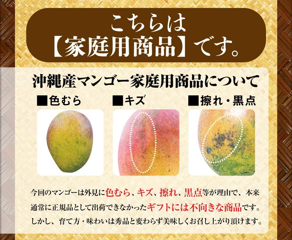 福袋 家庭用大入りマンゴーセット blog.valuart.com